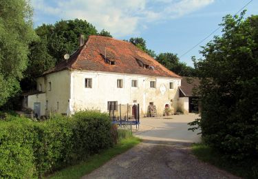 Trail On foot Ammerthal - Ammerthaler Runde - Photo