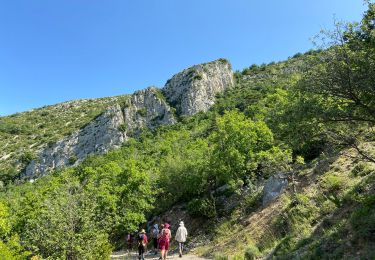 Tocht Stappen Venterol - Col de Pause  - Photo