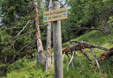 Trail Walking Chamonix-Mont-Blanc - Buvette du Chapeau et Tête des Prapators 1844m - Photo