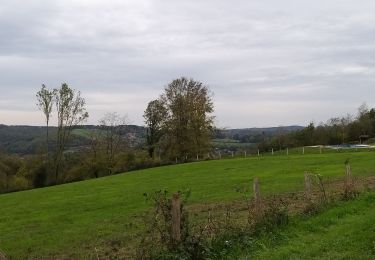 Excursión Senderismo Pepinster - 12 km soiron olne marche 2021 - Photo