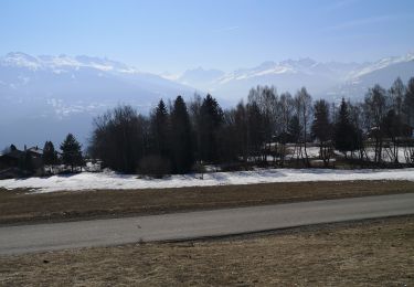 Tocht Noords wandelen Arbaz - Etang long  - Photo