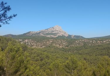 Tour Wandern Aix-en-Provence - Les 3 bons dieux Bibemus - Photo