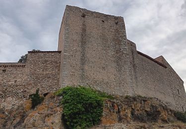 Tour Wandern Montalba-le-Château - chateau de montalbat - Photo