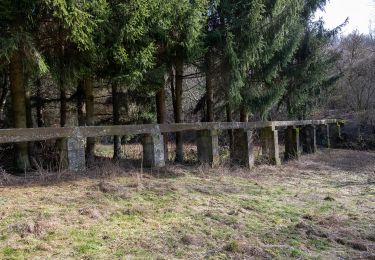 Percorso A piedi Osterburken - Rundwanderweg Barnholz 1: Barnholz-Weg - Photo