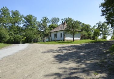 Excursión A pie Felsőtárkány - P+ (Varró-ház -Oldal-völgy) - Photo