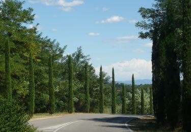 Trail On foot Figline e Incisa Valdarno - IT-7 - Photo