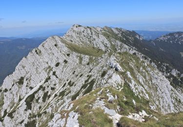 Randonnée A pied Zărnești - Cabana Plaiul Foii-La Lanțuri-Șaua Grindului - Photo