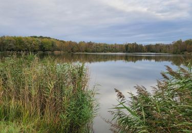 Tocht Stappen Fère-en-Tardenois - Fére en Tardenois Parc des Bruyères 1 - Photo