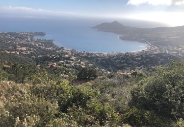 Randonnée Marche Mandelieu-la-Napoule - de Mandelieu à Boulouris - Photo