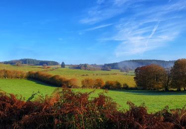 Randonnée Marche Bièvre - Balade au fil du ruisseau de Gros-Fays - Photo