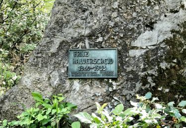 Tour Zu Fuß Gevelsberg - Forsthaus Rundweg A3 - Photo