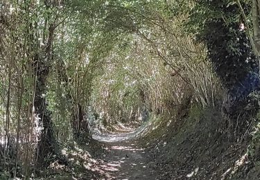 Trail Walking Ménil-Hubert-sur-Orne - De Rouvroy aux Roches d'Oetre par le sentier des Méandres  - Photo