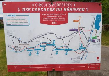 Tour Wandern Le Frasnois - Cascades du Hérisson et les 4 lacs  - Photo