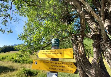 Trail Walking Molines-en-Queyras - Col Longet.Pic Traversier. 21/07/21 - Photo