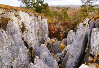 Tour Wandern Viroinval - Promenade vers le Fondry des chiens  - Photo