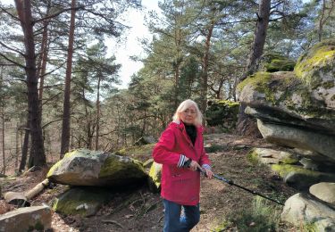 Randonnée Marche Fontainebleau - la plaine verte 4 mars 2024 - Photo