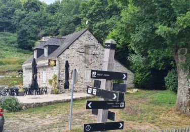 Trail Walking Bon Repos sur Blavet - Tour de l'Abbaye de Bon Repos - Photo