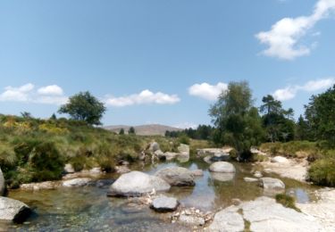 Tour Wandern Vialas - Mas de la Barque - Pic Cassini - Pont du Tarn - Photo