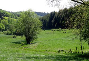 Tocht Te voet Meschede - Oesterberge Rundweg A6 - Photo