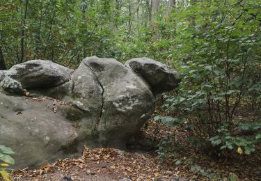 Randonnée Marche Vert-Saint-Denis - breviande  - Photo