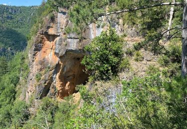 Excursión Senderismo Trèves - Trêves via Dourbies - Photo