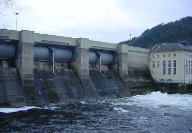 Randonnée A pied Kaulsdorf - Rundwanderung Amalienhöhe-Eichicht-Dreiherrenstein-Bucha - Photo