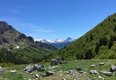 Tocht Stappen Lescun - Laberouat-Cap de la baitch - Photo