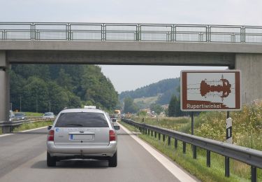 Tocht Te voet Siegsdorf - Schwarzenberg-Weg - Photo