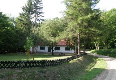 Trail On foot Orfű - S■ S – Nagy-kő-oldal – Lóri-erdészház – Vágoti gerinc,S - Photo