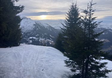 Excursión Ruta Villard-sur-Doron - Legette-NantRouge(20K 750D+) - Photo