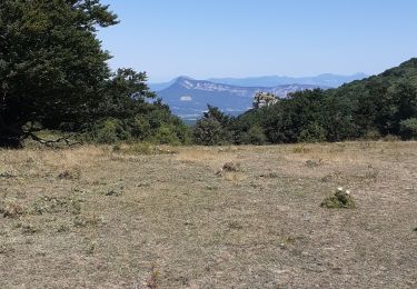 Tour Wandern Le Poët-Laval - les plaines-06-08-2024 - Photo