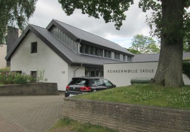 Randonnée A pied Harrislee - Rundwanderweg 6: Wassersleben/Klueser Wald - Photo