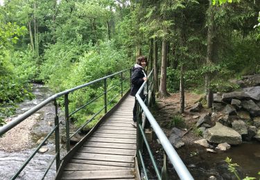 Tocht Stappen Rocroi - Tour du lac de White Taker - Photo