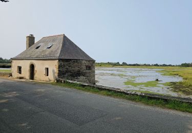 Tour Wandern Le Hézo - Balade_008 - Photo