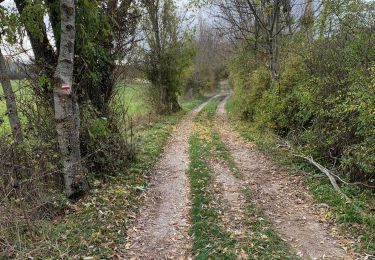 Trail Walking Saint-Geniez - Rando St Gêniez (04) - Photo