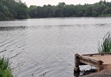 Randonnée Marche Condé-sur-l'Escaut - Boucle par la Grande Redoute - Photo