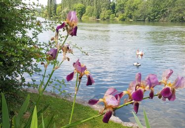 Trail Walking Savigny-le-Temple - savigny le Temple - Cesson - Photo