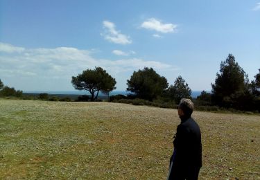 Tour Wandern Narbonne - la Clape ND des Auzils - Photo