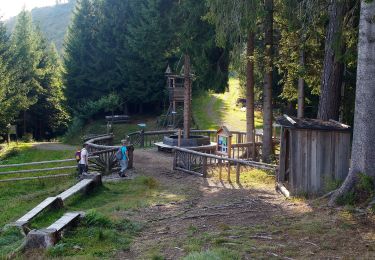 Trail On foot Kapfenberg - Romantischer Bründlweg - Photo