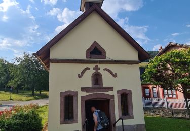 Tour Wandern Sankt Kreuz im Lebertal - Le Hury par le Petit-Haut - Photo