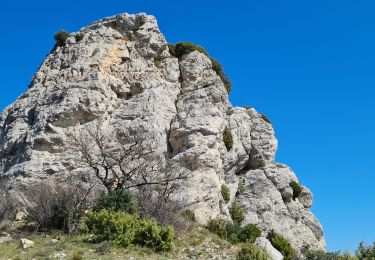 Trail On foot Auriol - encanaux infernets cauvin - Photo