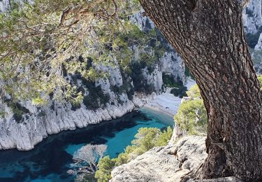 Trail Walking Cassis - cassis les 3 calanques la fontasse - Photo