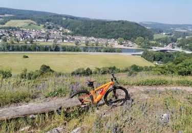 Tocht Mountainbike Yvoir - GODINNE ... par la réserve naturelle de Champalle. - Photo