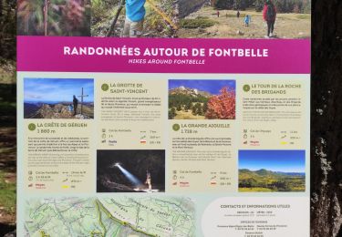 Tour Wandern Le Castellard-Mélan - col de fontbelle - Photo