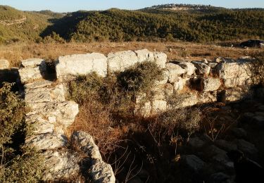 Percorso A piedi מועצה אזורית מטה יהודה - IL-9348 - Photo