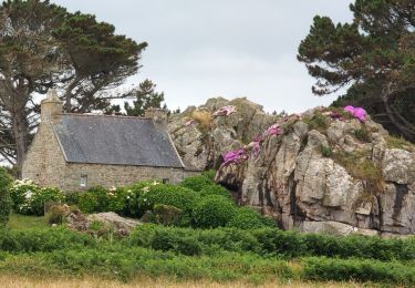 Trail Walking Plougrescant - Plougrescant - GR34 la Roche Jaune - 22.9km 260m 5h10 (45mn) - 2024 06 23 - Photo