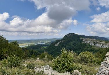 Randonnée Marche La Chaux-du-Dombief - Sentier des Cairns - Photo