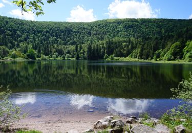 Tocht Stappen La Bresse - Breitsouze - Photo