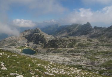 Trail Walking Villard-de-Lans - Grande Moucherolle en boucle - Photo