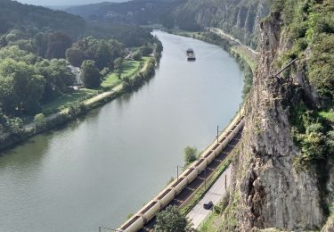 Tour Wandern Namen - Boninne - Photo